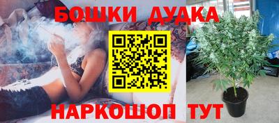 ПСИЛОЦИБИНОВЫЕ ГРИБЫ Дубна