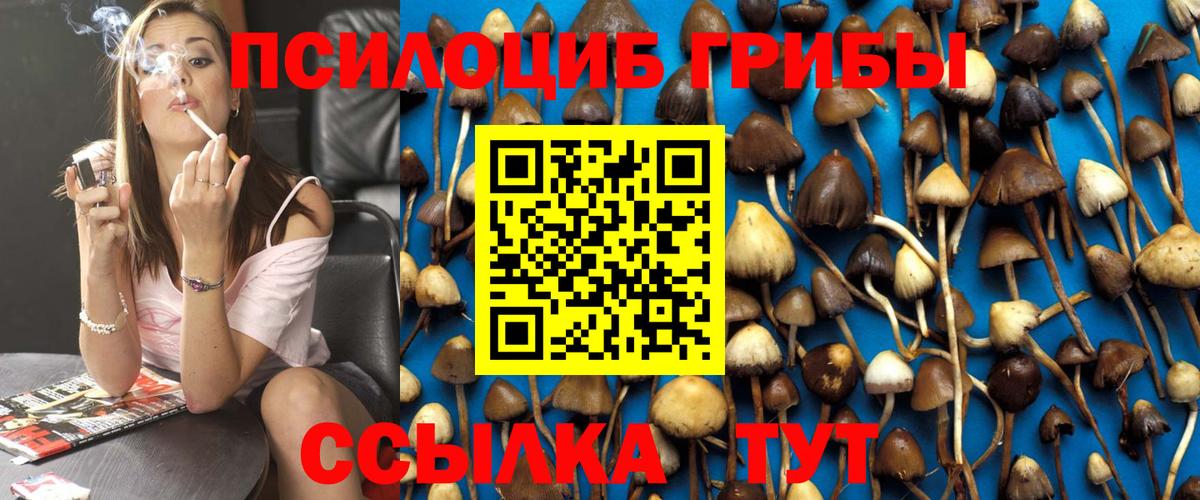 Псилоцибиновые грибы Cubensis  Вход с VPN  дарнет шоп  Кубинка 