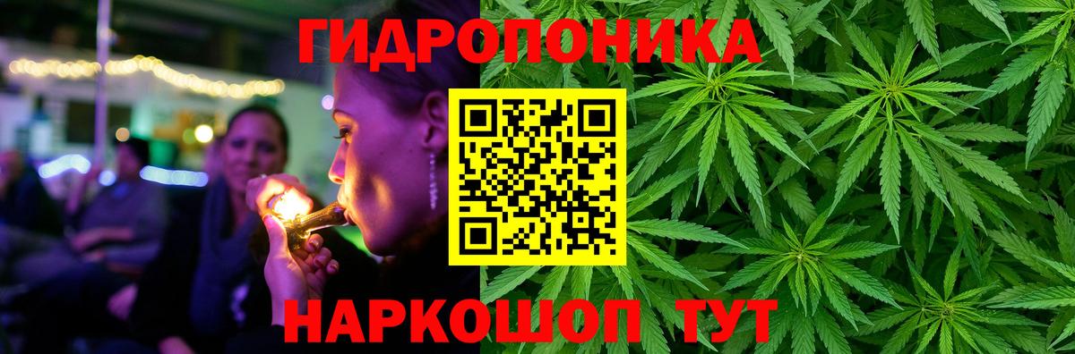 Бошки Шишки ГИДРОПОН  Вход с VPN  Кубинка  Каннабис конопля  Шишки марихуана VHQ 